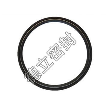 艉轴密封圈